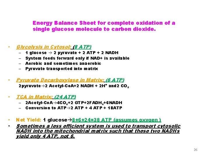 Energy Balance Sheet for complete oxidation of a single glucose molecule to carbon dioxide.