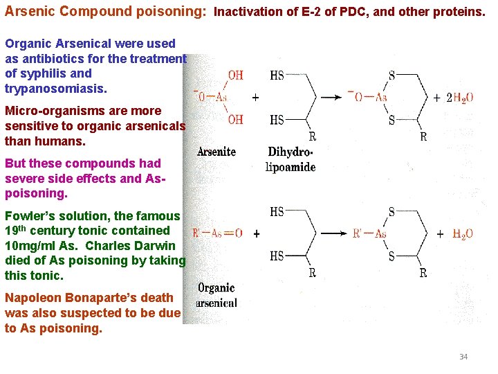 Arsenic Compound poisoning: Inactivation of E-2 of PDC, and other proteins. Organic Arsenical were