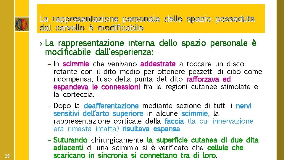 La rappresentazione personale dello spazio posseduta dal cervello è modificabile › La rappresentazione interna