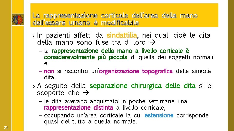 La rappresentazione corticale dell’area della mano dell’essere umano è modificabile › In pazienti affetti