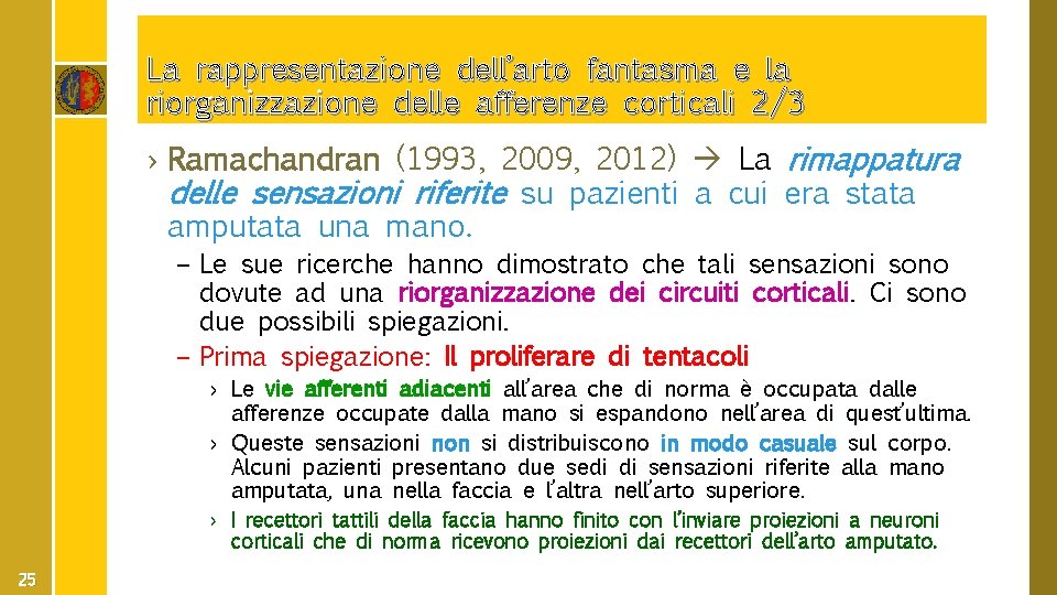 La rappresentazione dell’arto fantasma e la riorganizzazione delle afferenze corticali 2/3 › Ramachandran (1993,