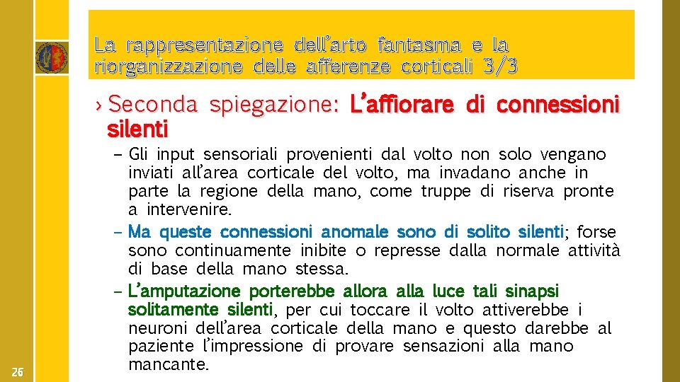 La rappresentazione dell’arto fantasma e la riorganizzazione delle afferenze corticali 3/3 › Seconda spiegazione: