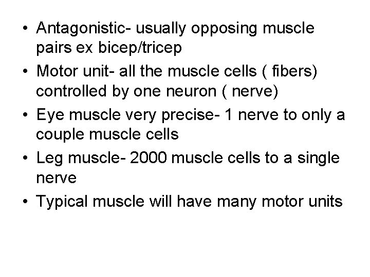  • Antagonistic- usually opposing muscle pairs ex bicep/tricep • Motor unit- all the