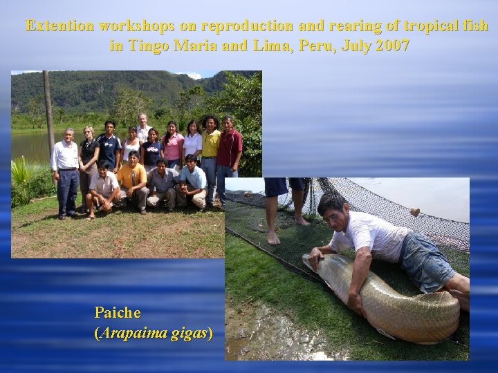 Extention workshops on reproduction and rearing of tropical fish in Tingo Maria and Lima,