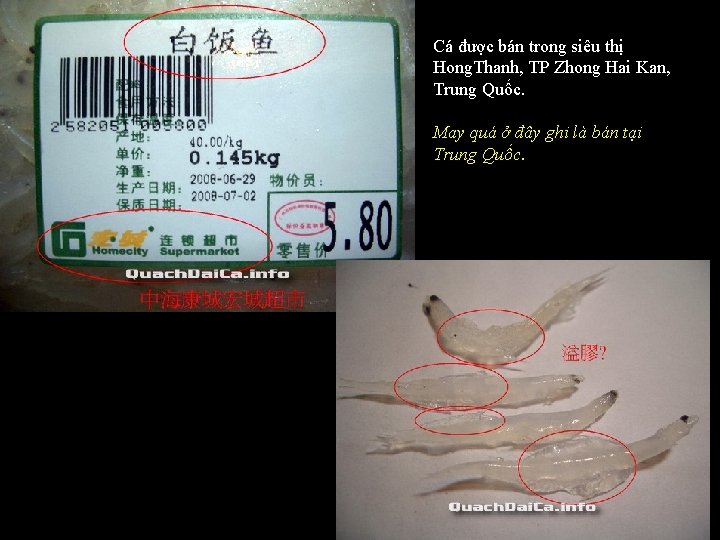 Cá được bán trong siêu thị Hong. Thanh, TP Zhong Hai Kan, Trung Quốc.