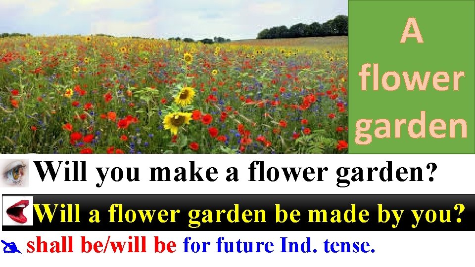 A flower garden Will you make a flower garden? Will a flower garden be