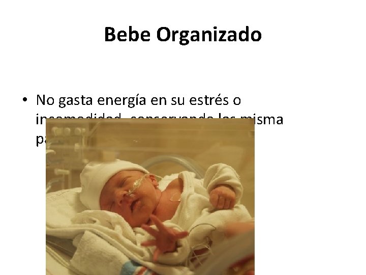 Bebe Organizado • No gasta energía en su estrés o incomodidad, conservando las misma