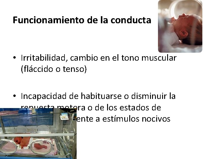 Funcionamiento de la conducta • Irritabilidad, cambio en el tono muscular (fláccido o tenso)