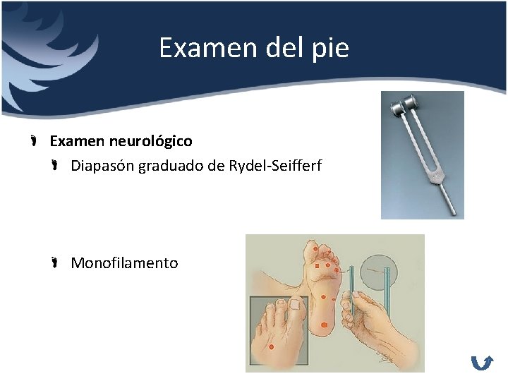 Examen del pie Examen neurológico Diapasón graduado de Rydel-Seifferf Monofilamento 