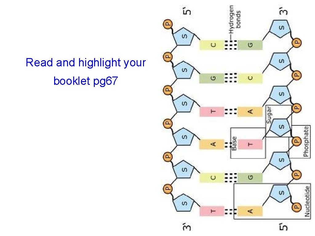 Read and highlight your booklet pg 67  Read and highlight your booklet pg 67