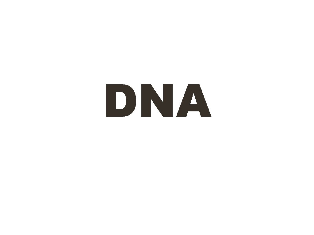DNA  DNA