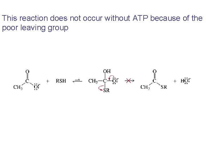 This reaction does not occur without ATP because of the poor leaving group 