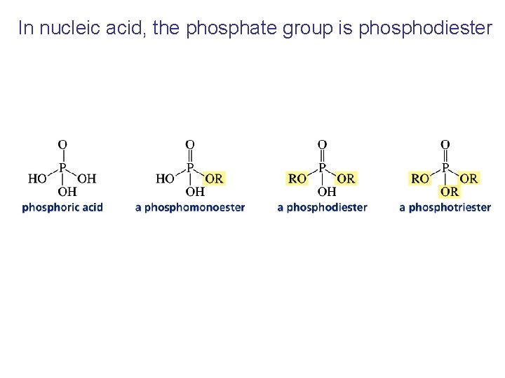 In nucleic acid, the phosphate group is phosphodiester 