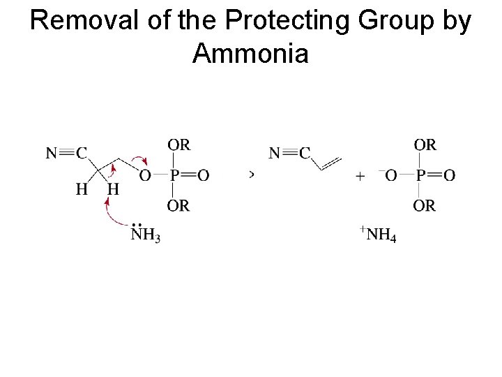 Removal of the Protecting Group by Ammonia 