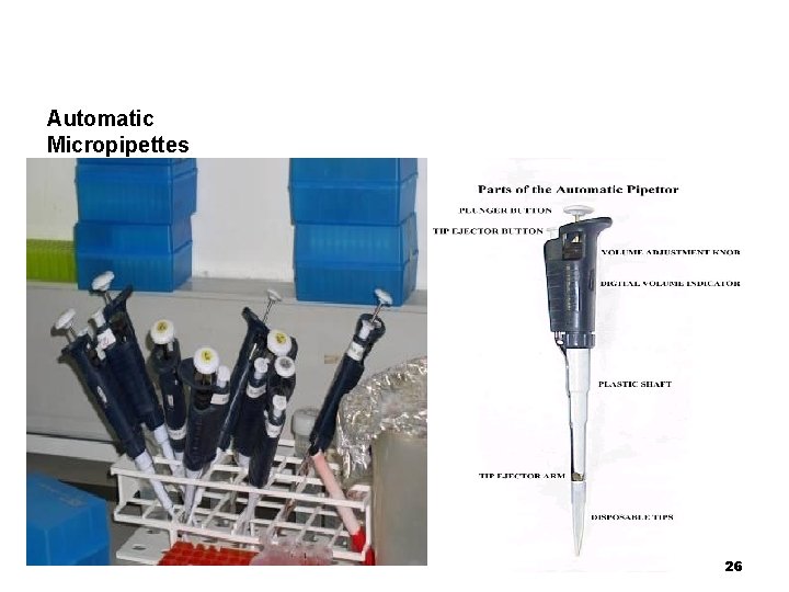 Automatic Micropipettes 26 