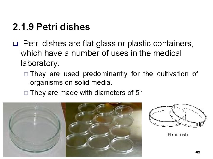 2. 1. 9 Petri dishes q Petri dishes are flat glass or plastic containers,