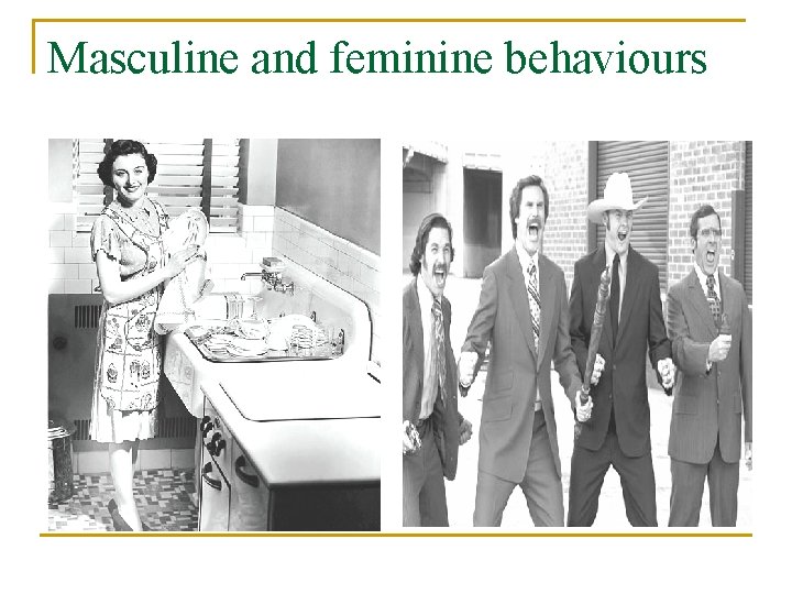 Masculine and feminine behaviours 