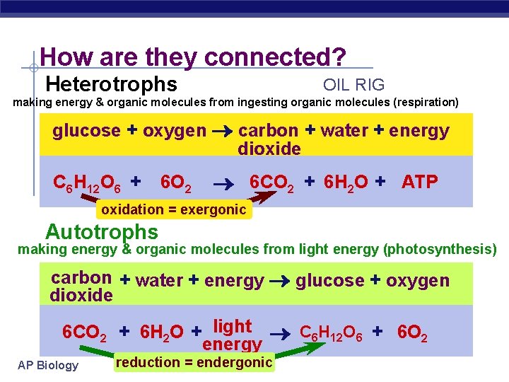 How are they connected? Heterotrophs OIL RIG making energy & organic molecules from ingesting