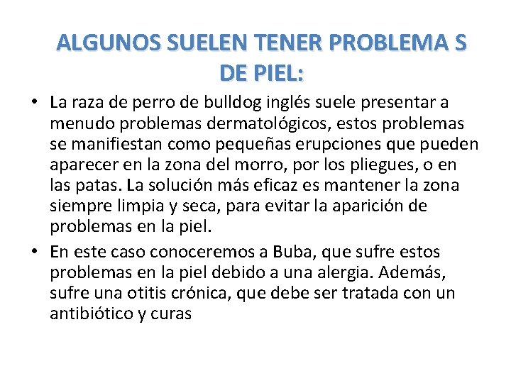 ALGUNOS SUELEN TENER PROBLEMA S DE PIEL: • La raza de perro de bulldog
