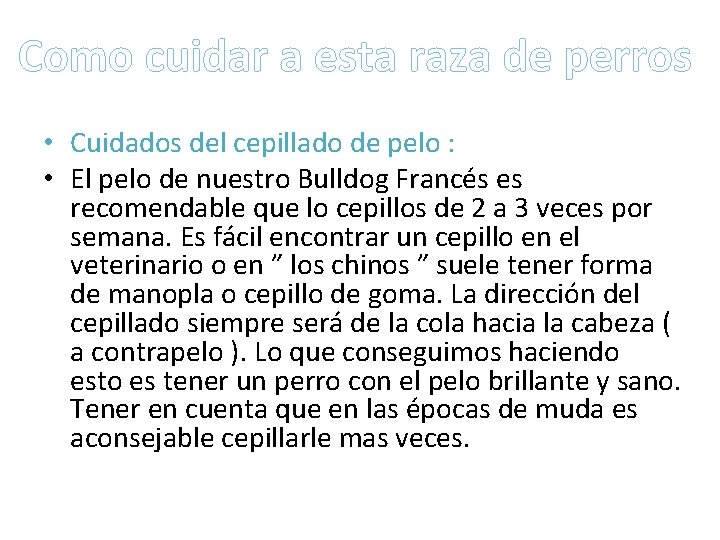 Como cuidar a esta raza de perros • Cuidados del cepillado de pelo :