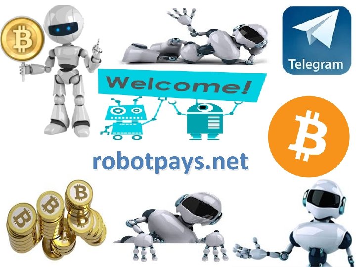 robotpays. net 