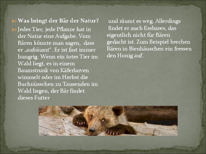  Was bringt der Bär der Natur? Jedes Tier, jede Pflanze hat in der