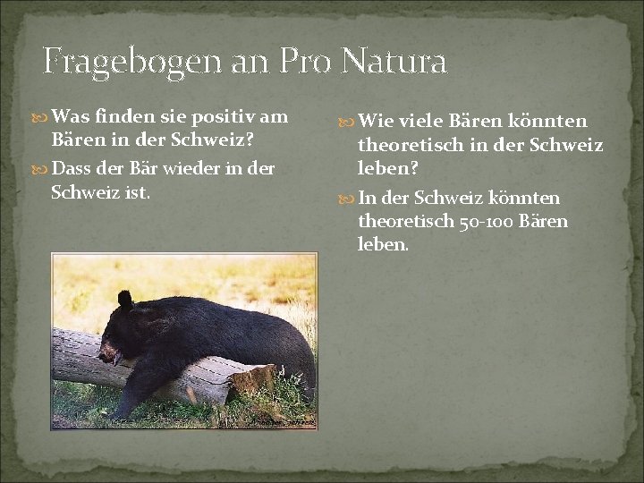 Fragebogen an Pro Natura Was finden sie positiv am Bären in der Schweiz? Dass