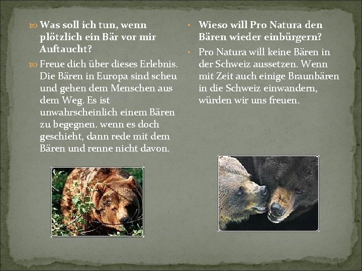  Was soll ich tun, wenn • Wieso will Pro Natura den Bären wieder