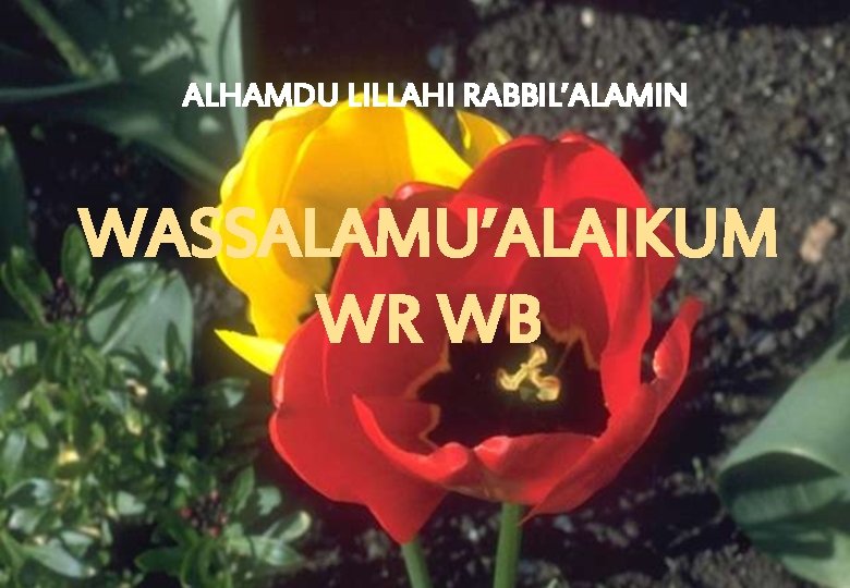 ALHAMDU LILLAHI RABBIL’ALAMIN WASSALAMU’ALAIKUM WR WB 