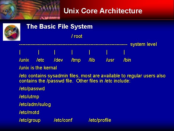Unix Core Architecture The Basic File System / root ---------------------------------- system level | |