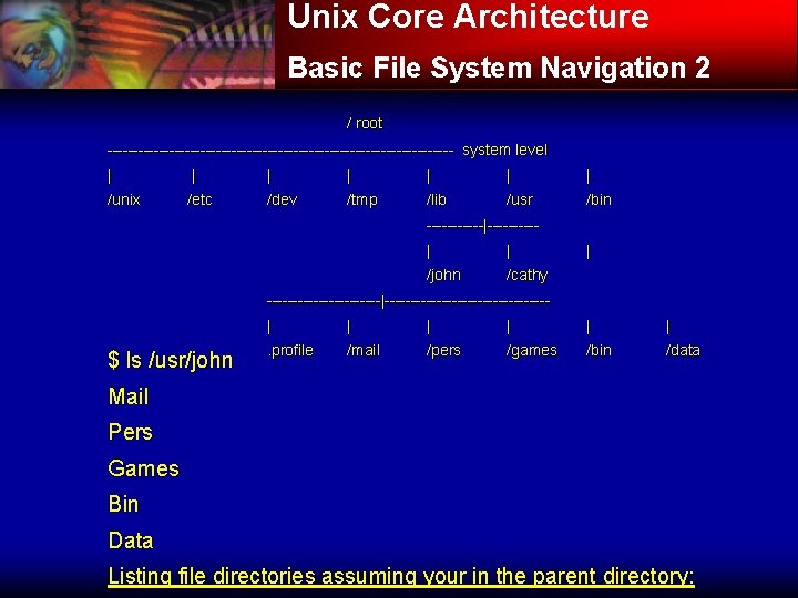 Unix Core Architecture Basic File System Navigation 2 / root ---------------------------------- system level |