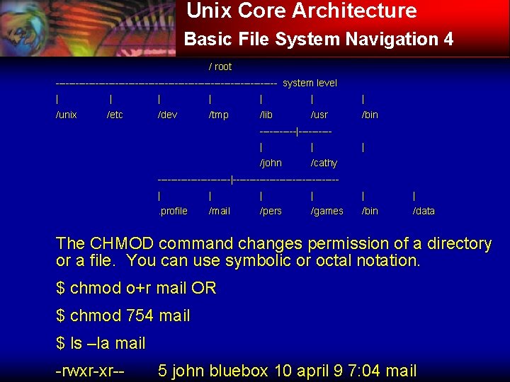 Unix Core Architecture Basic File System Navigation 4 / root ---------------------------------- system level |