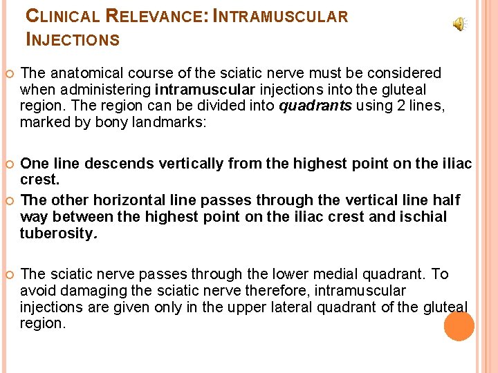 CLINICAL RELEVANCE: INTRAMUSCULAR INJECTIONS The anatomical course of the sciatic nerve must be considered