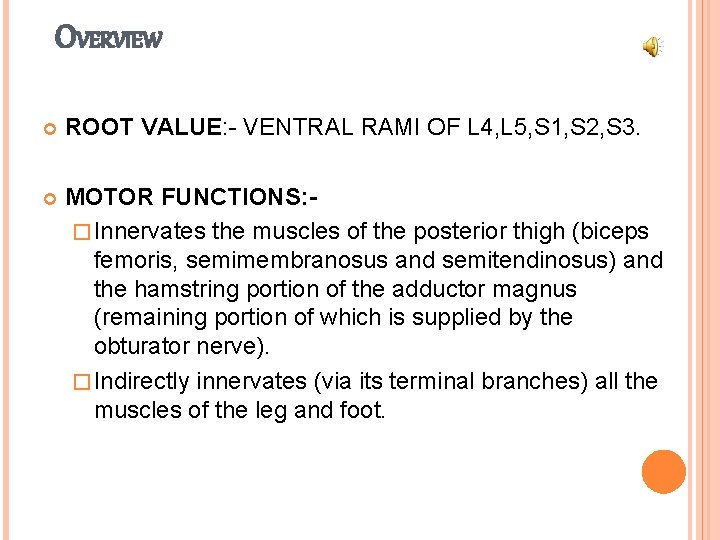 OVERVIEW ROOT VALUE: - VENTRAL RAMI OF L 4, L 5, S 1, S