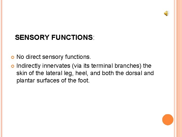 SENSORY FUNCTIONS: No direct sensory functions. Indirectly innervates (via its terminal branches) the skin