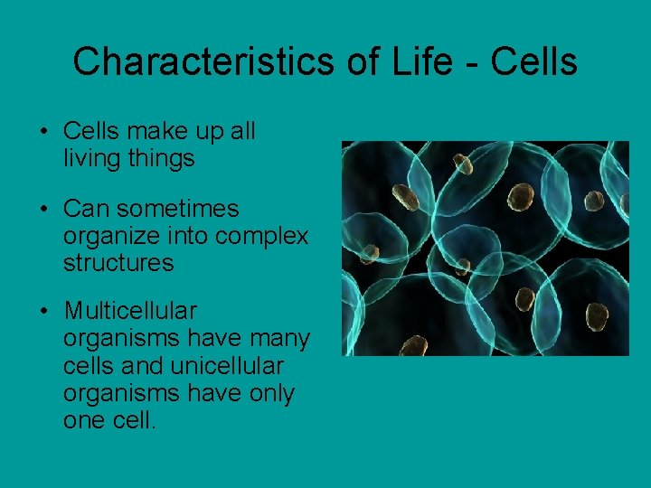 Characteristics of Life - Cells • Cells make up all living things • Can