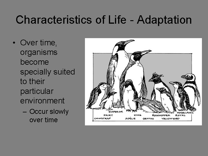 Characteristics of Life - Adaptation • Over time, organisms become specially suited to their