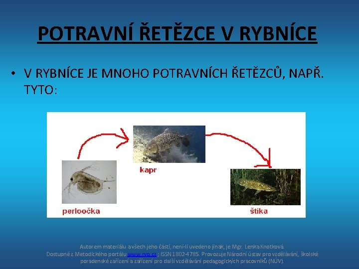 POTRAVNÍ ŘETĚZCE V RYBNÍCE • V RYBNÍCE JE MNOHO POTRAVNÍCH ŘETĚZCŮ, NAPŘ. TYTO: Autorem