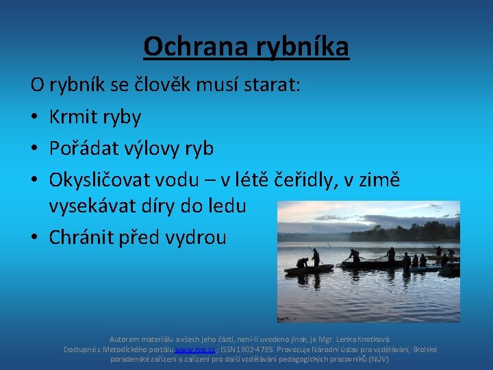 Ochrana rybníka O rybník se člověk musí starat: • Krmit ryby • Pořádat výlovy