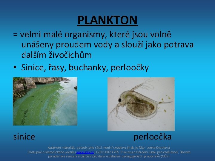 PLANKTON = velmi malé organismy, které jsou volně unášeny proudem vody a slouží jako