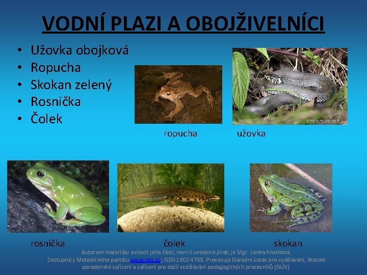 VODNÍ PLAZI A OBOJŽIVELNÍCI • • • Užovka obojková Ropucha Skokan zelený Rosnička Čolek