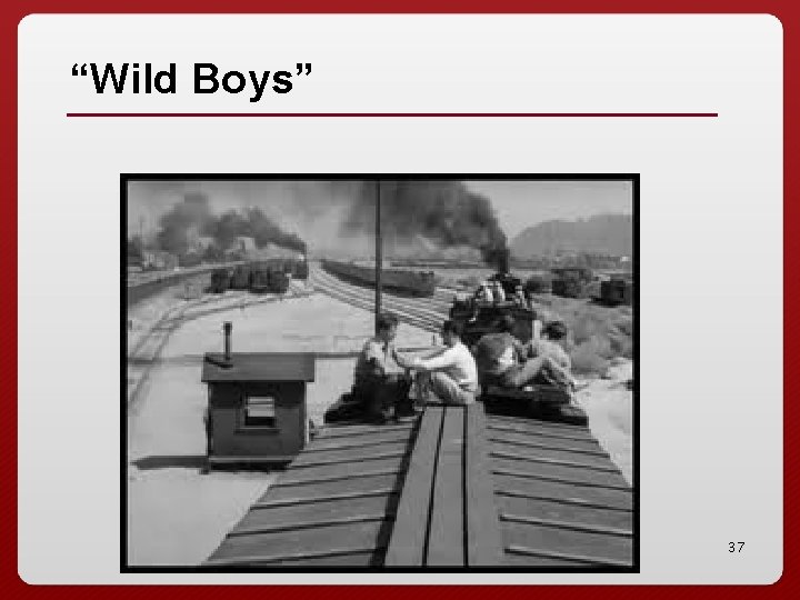 “Wild Boys” 37 