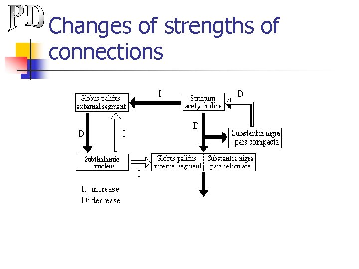 Changes of strengths of connections 