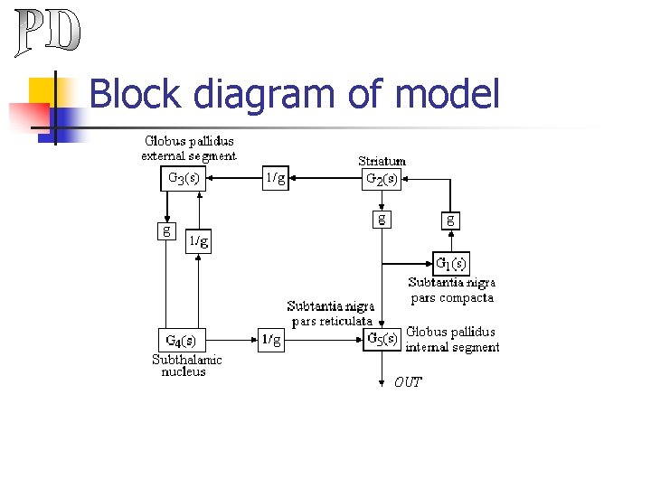 Block diagram of model 