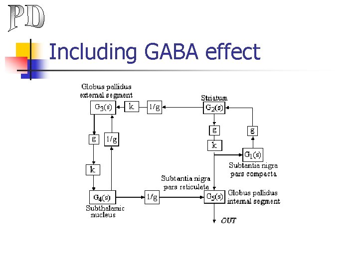 Including GABA effect 