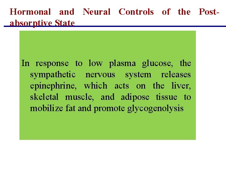Hormonal and Neural Controls of the Postabsorptive State In response to low plasma glucose, Hormonal and Neural Controls of the Postabsorptive State In response to low plasma glucose,