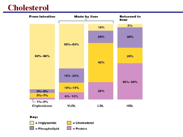 Cholesterol Cholesterol