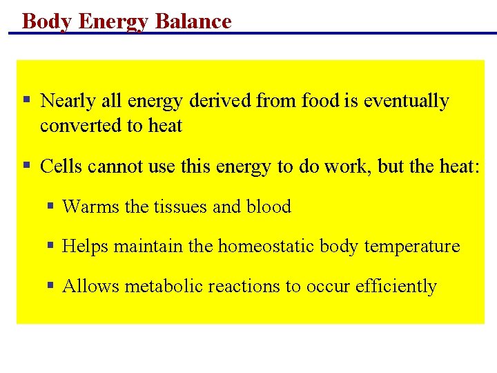 Body Energy Balance § Nearly all energy derived from food is eventually converted to Body Energy Balance § Nearly all energy derived from food is eventually converted to