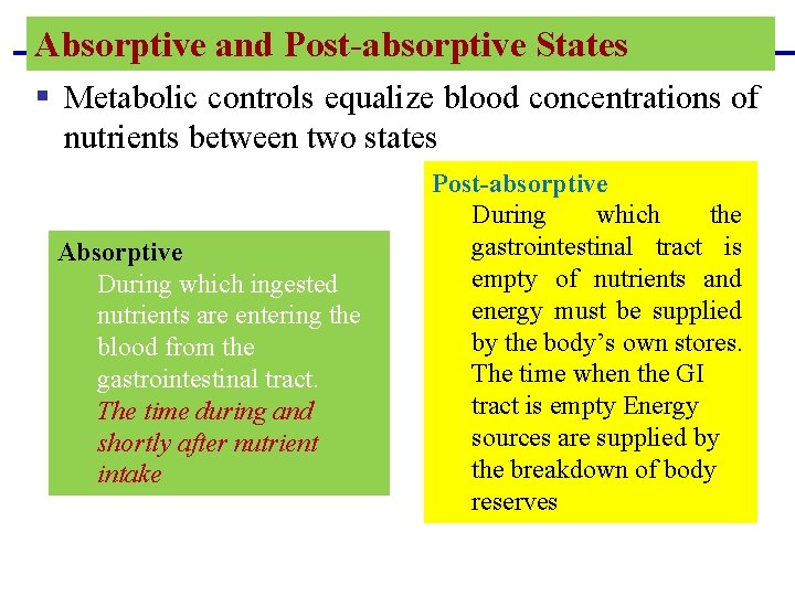 Absorptive and Post-absorptive States § Metabolic controls equalize blood concentrations of nutrients between two Absorptive and Post-absorptive States § Metabolic controls equalize blood concentrations of nutrients between two