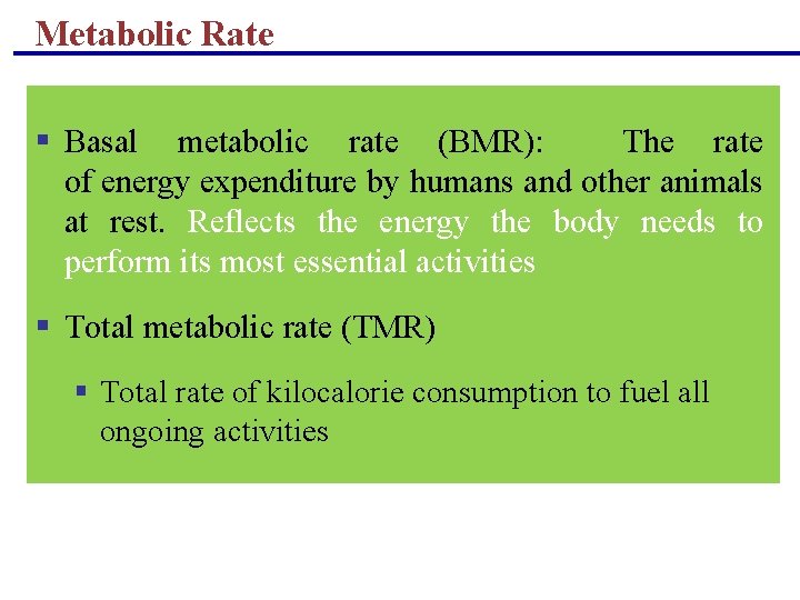 Metabolic Rate § Basal metabolic rate (BMR): The rate of energy expenditure by humans Metabolic Rate § Basal metabolic rate (BMR): The rate of energy expenditure by humans